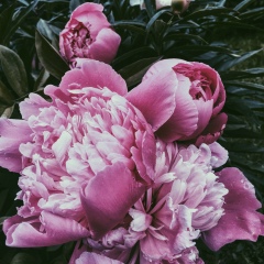 Залина Беккиева, 08.06.1992, Нальчик