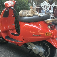 Deni Sh, 24.08.1985, Сочи