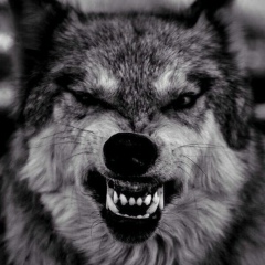 Муслим Ас, Урус-Мартан