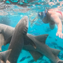 Елена Бекяшева