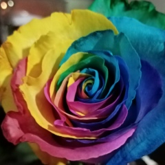 Анна Сотникова, 05.08, Санкт-Петербург