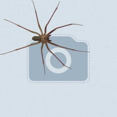 Zhannat Gazizova, 24.06