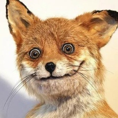 Дарья Иванова, Санкт-Петербург