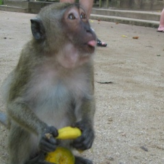 Алексей Титов, 18.08.1981, Санкт-Петербург