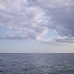 Никита Дальгрен, 11.10.1901, Санкт-Петербург