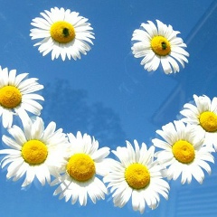 Светлана Андреуца