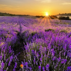 Indira Baltabaeva, 11.02.1993