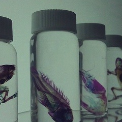 Cholpon Zhakypova, 28.01, Москва