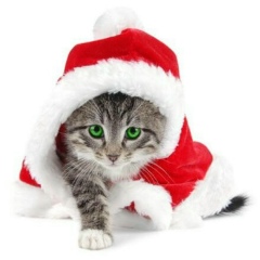 Наталья Румянцева, 04.02.1976, Москва