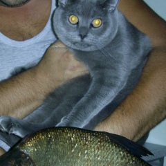 Николай Концелидзе, Харьков