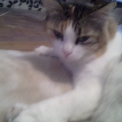 Анастасия Крупеня, 12.08, Москва