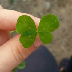 Юлиана Братющенко, 06.07