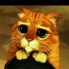 Александр Симонков