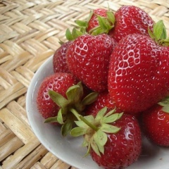 Анастасия Ягода, 01.07, Евпатория