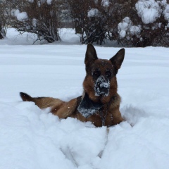 Валентина Христолюбова, 17.09, Санкт-Петербург
