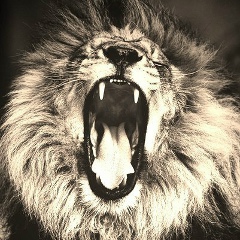 Нурлыбек Камбеков, 01.05, Шымкент