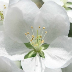 Марина Данилова, 28.07