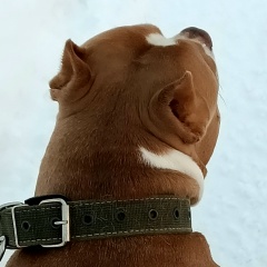 Мария Гарбузова, 01.05, Москва