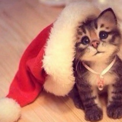 Марьям Абенова, 28.01, Алматы