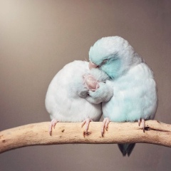 Надежда Маканова, 14.11, Ростов-на-Дону