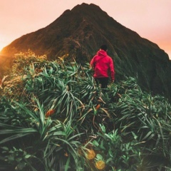 Ponchik Bauirsakov, 07.07, Киев