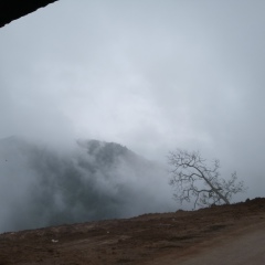 Naung Htzw, 10.06.1991