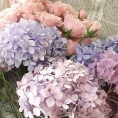 Евгения Еропкина, 06.07.1992, Алматы