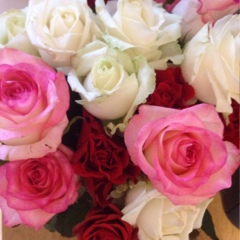 Елена Коренная, 16.12, Киев