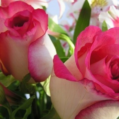 Mahliyo Nizamova, 20.02.1991, Кентау