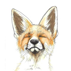 Дмитрий Иванов, 01.02, Москва