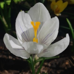 Анна Стулова, 09.04, Екатеринбург