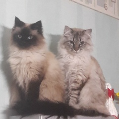 Дмитрий Егоров, 25.09.1982, Санкт-Петербург