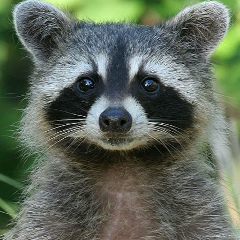 Костя Кузнецов, 03.03.2000, Москва