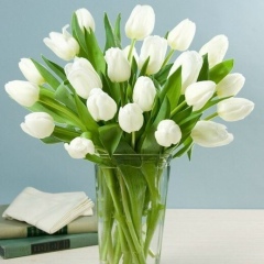 Дмитрий Щербанюк, 24.02