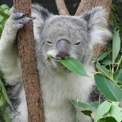 Андрей Пачин, 14.10.1986, Нижний Новгород