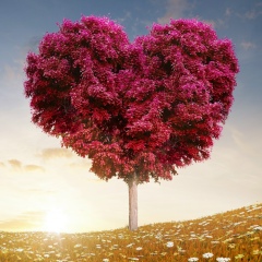 Елена Федорова, 22.02.1986, Харьков