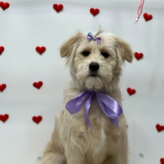 Анастасия Петроваа, 15.02, Санкт-Петербург