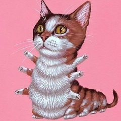 Алексей Коршаков, 30.07.1986, Краснодар