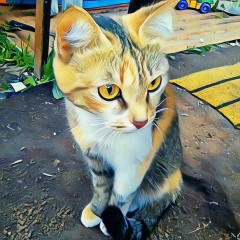 Сонечка Зверева, Ижевск