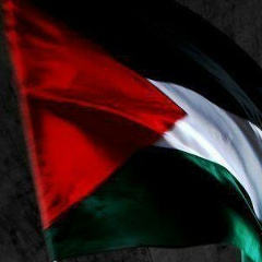 Shamil Visitaev, 05.12, Москва