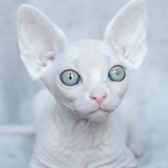 Инна Калина, 18.06