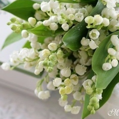 Полина Тарапон, 14.07, Санкт-Петербург