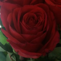 Елена Засецкая, 12.08, Москва