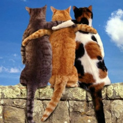 Татьяна Питкина, 24.08, Тюмень