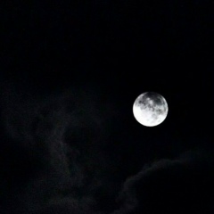 Тамила Мачиева, 10.08.1998, Шелковская