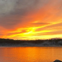 Роман Зайцев, 10.12.1978, Санкт-Петербург