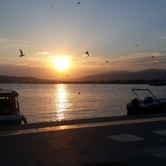Burhan Tiryaki, 21.12.1955, İstanbul