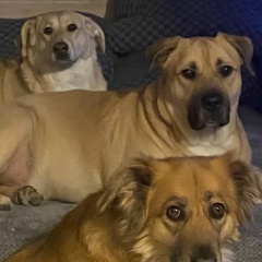 Дмитрий Суходолов