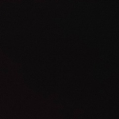 Николай Шаболдас, 26.10.1981, Санкт-Петербург