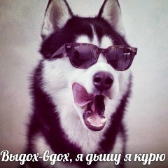 Латиф Мухаев, Москва